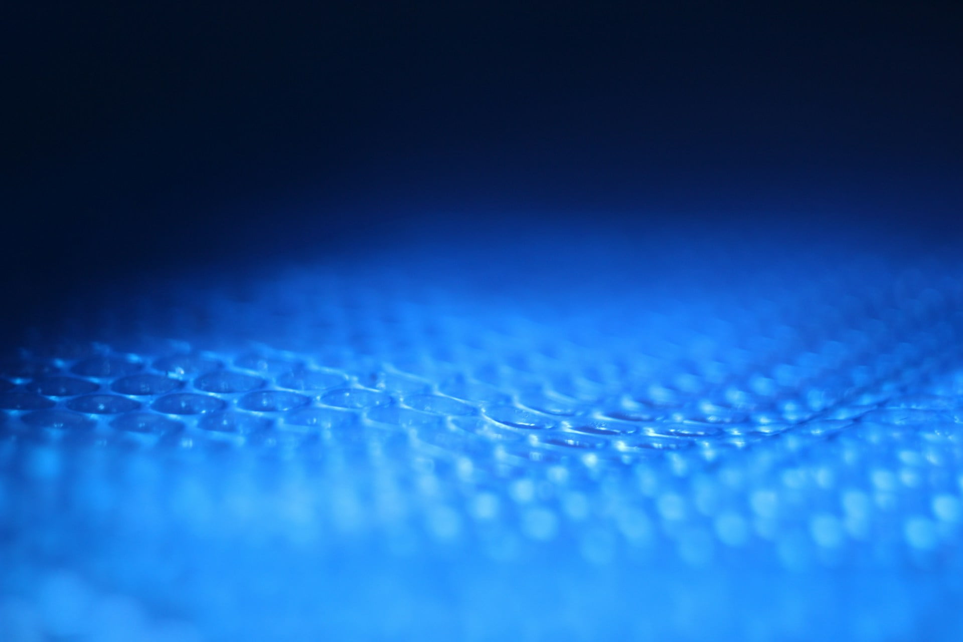 Common Vulnerabilities in Blockchain Systems - Speedster IT