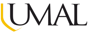 umal insurance IT Support London - Speedter IT